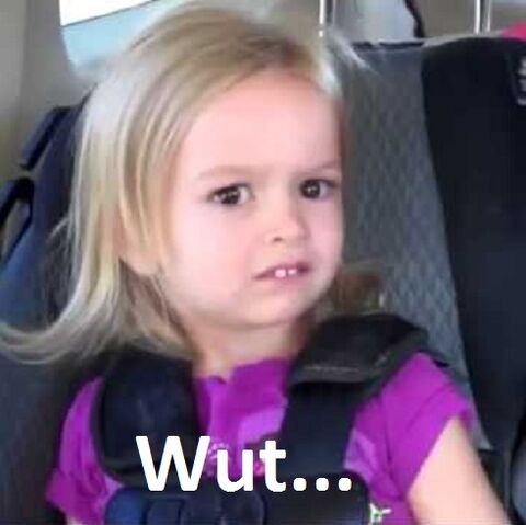 File:Wut......jpg