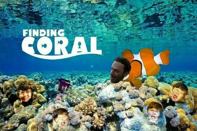 File:Coral.jpg