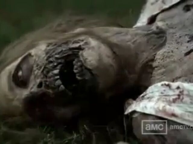 File:W1 TWD Images 051.jpeg