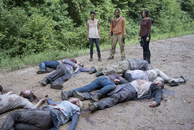 File:Thewalkingdeads04e10x2.jpg