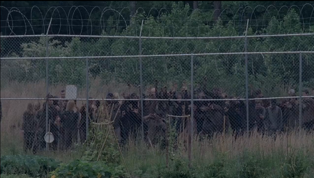 File:S4T Walker Fences.png