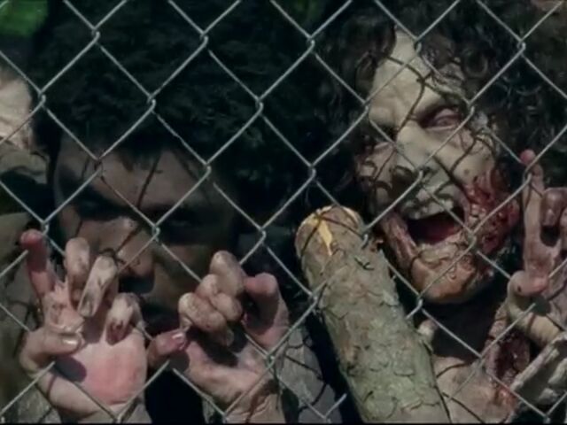 File:TWDBLR Images 018.jpeg