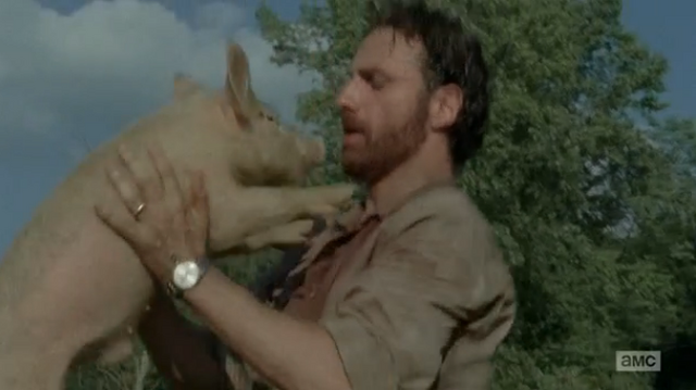File:Pig 3.png