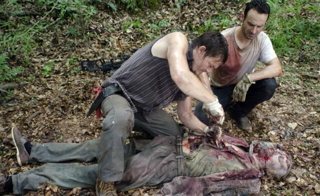 File:Walkingdead2.1.jpg