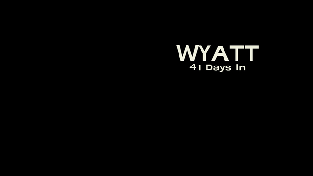 File:WS Title Card.png