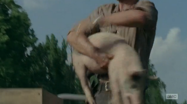 File:Pig 1 (2).png