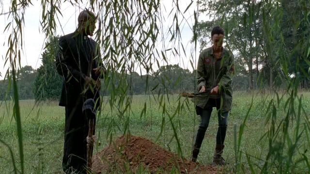 File:Twd0509-3002-2.jpg