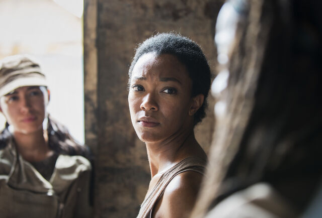 File:TWD 501 .jpg