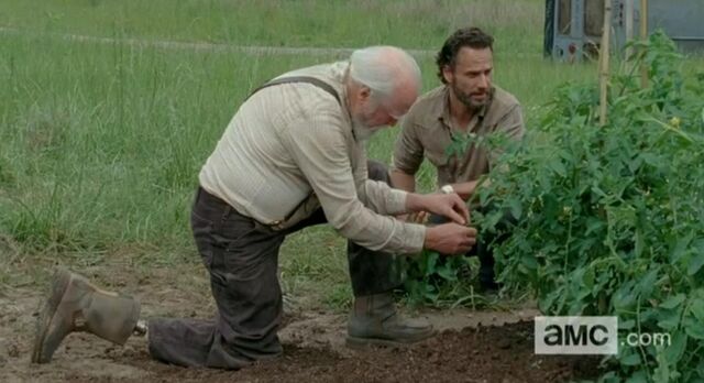 File:Hershel's prosthesis.jpg