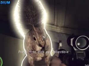 Firesign Squirrel Clear