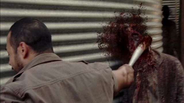 File:Twd313-001162.jpg