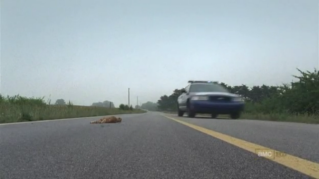File:Dog - Days Gone Bye.png