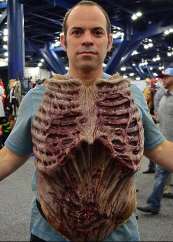File:Walker Chest Piece 3.jpg