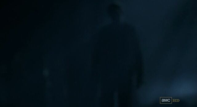 File:Lone Walker.jpg
