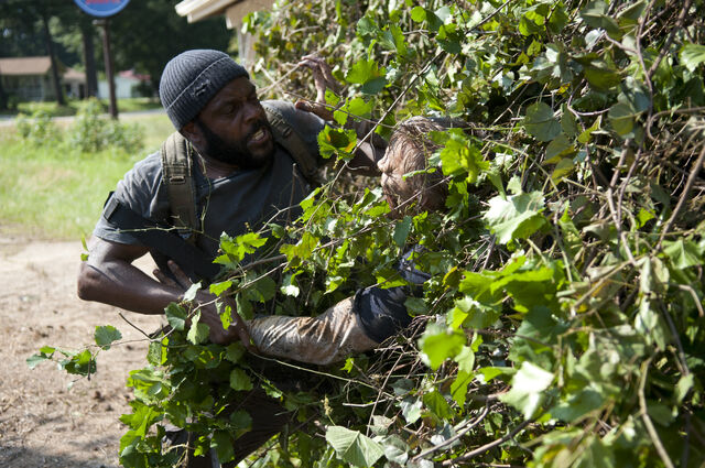 File:Tyreese-Indifference-The-Walking-Dead-4-Temporada.jpg