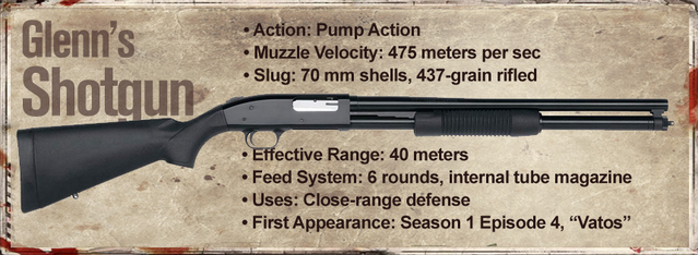 File:Glenn's Shotgun.png