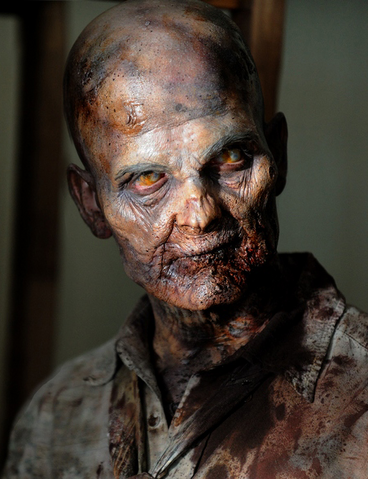 File:Pj McDonnell as Walker.png