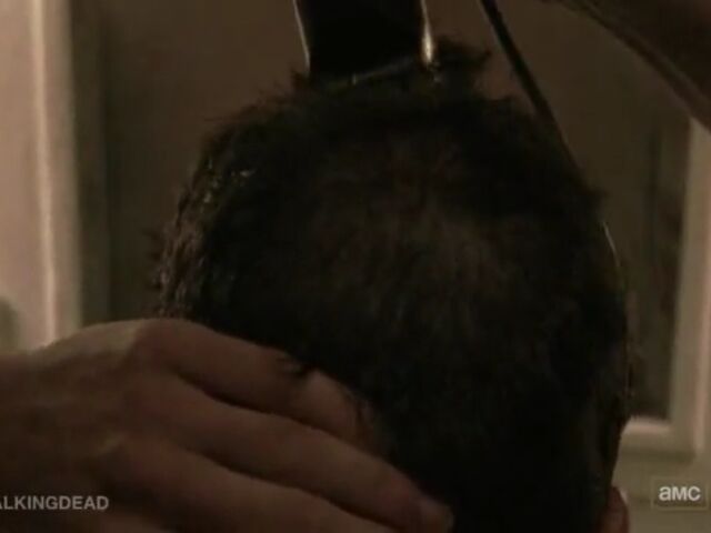 File:PWMD TWD Images 006.jpeg