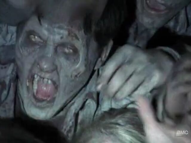 File:STLO TWD Images 026.jpeg