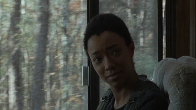 File:Sasha615gentlesmile.jpg