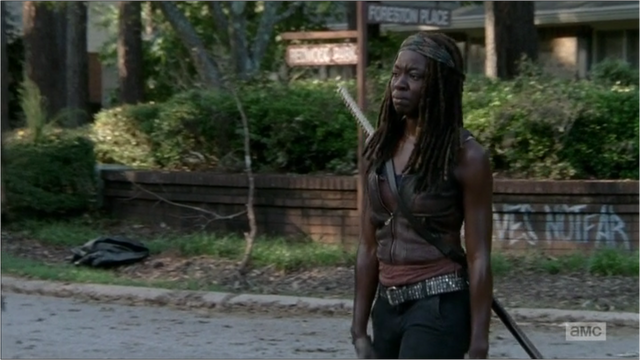 File:5x09 Michonne Broke Down.png