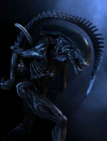 File:Alien.jpg