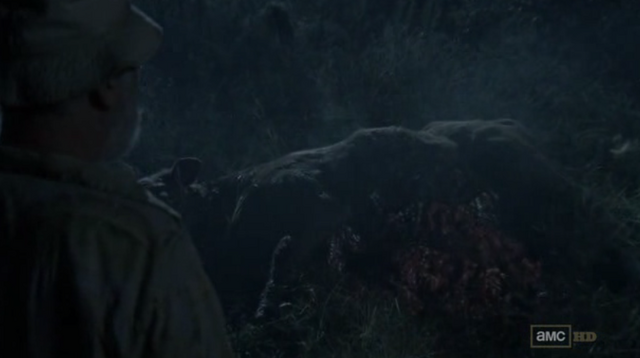File:Cows.png