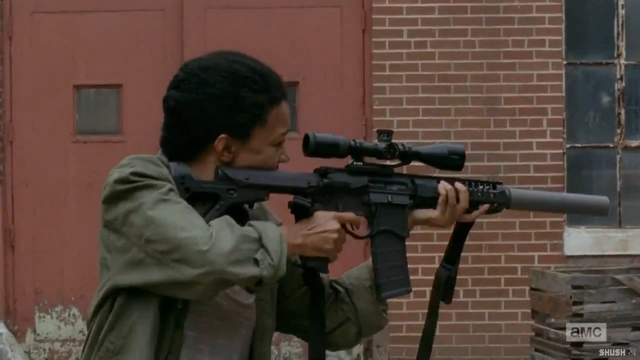 File:SashaShootingWheel.png