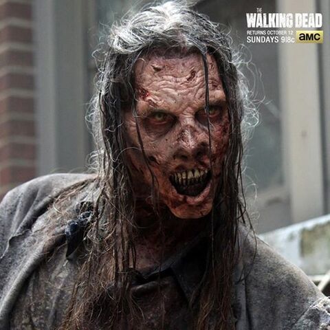 File:WalkerS5.jpg