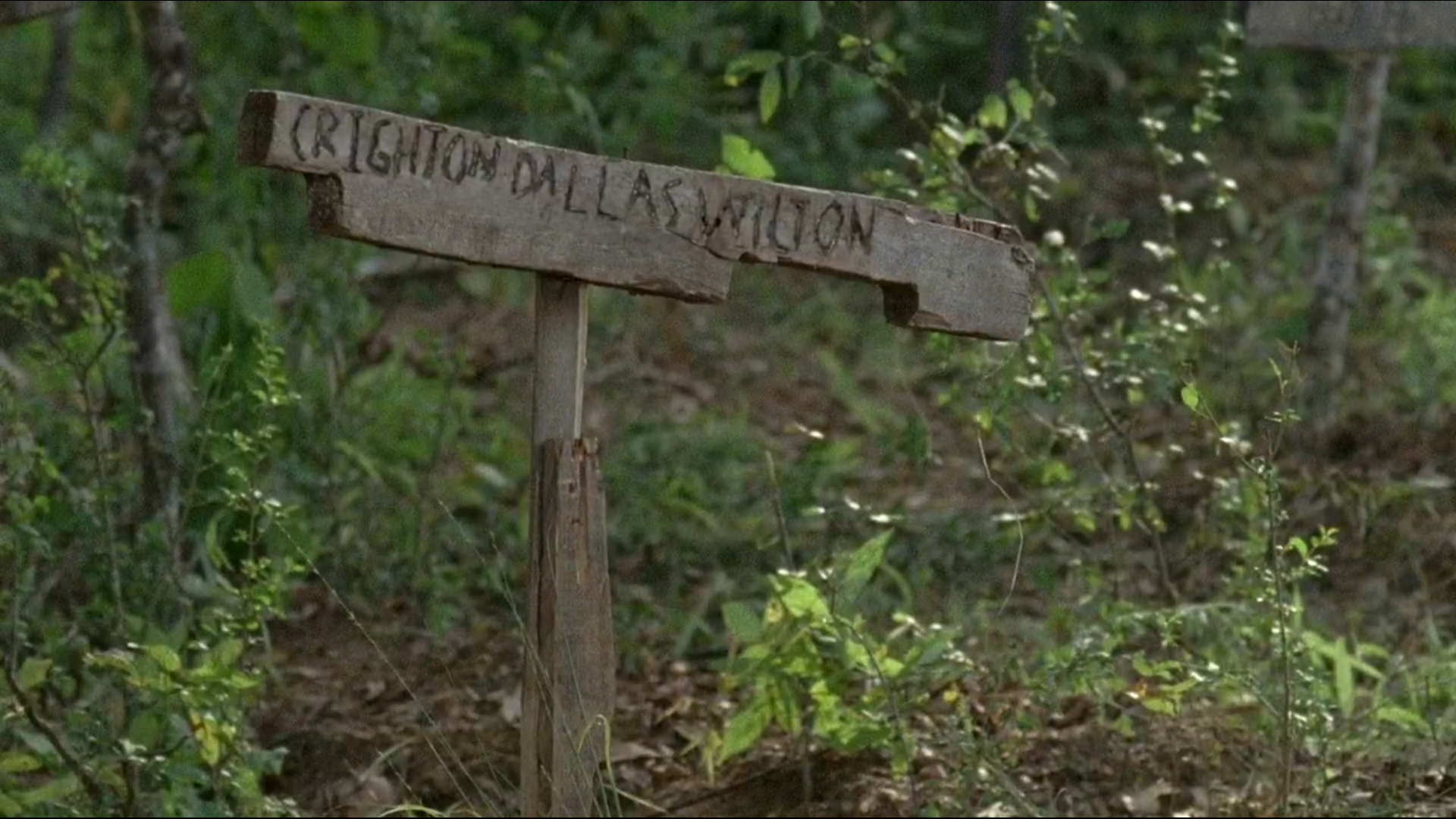 Crighton Dallas Wilton (TV Series) | Walking Dead Wiki ...