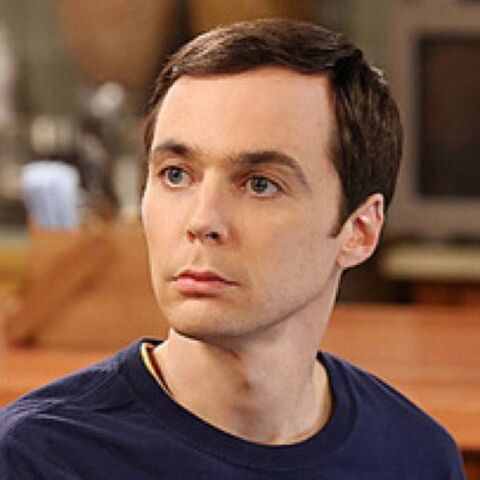 File:Sheldon hue.jpeg