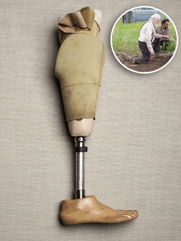 File:Prosthetic leg.jpg
