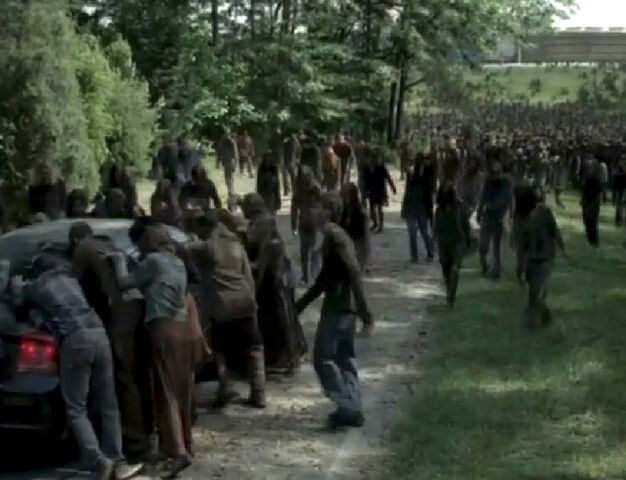 File:Herd403.jpg