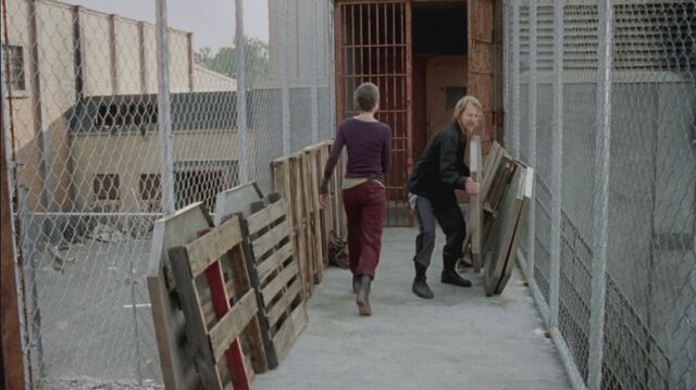 File:The-Walking-Dead-Carol-Peletier-image-the-walking-dead-carol-peletier-36083445-1280-717.jpg