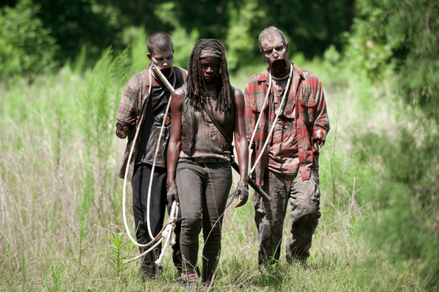 File:AMC TWD After.png