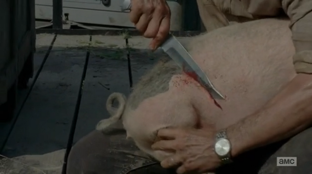 File:Pig 1 (3).png