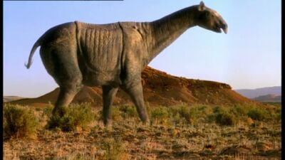 Indricotheriinae