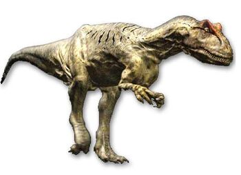 dwarf allosaurus