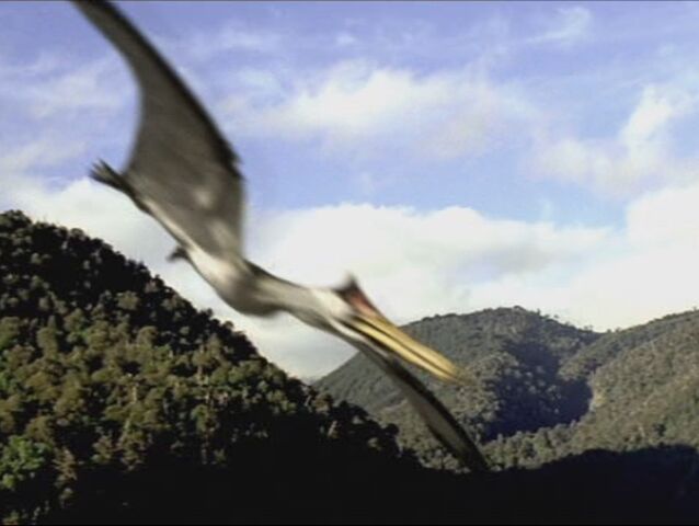 File:Quetzalcoatlus.jpg