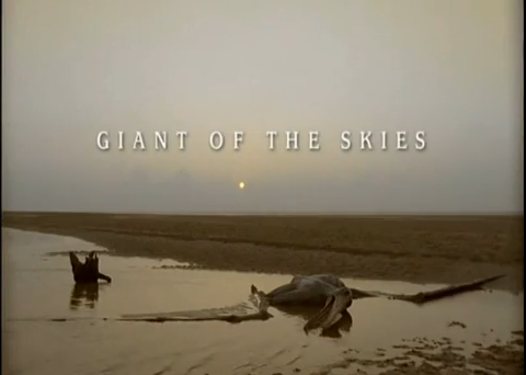 File:Giant of the skies.png