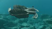 Anomalocaris-wwm1.1-1