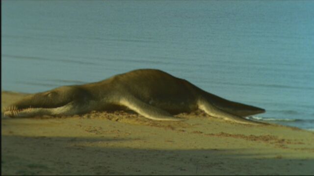 File:WWDPilot Liopleurodon.jpg