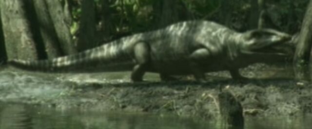File:WWM1x2 Proterogyrinus.jpg