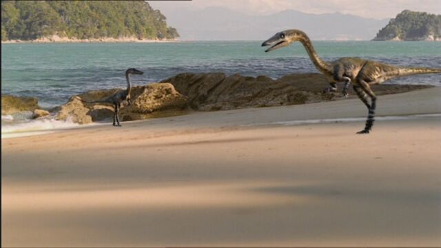 File:NW1x1 CoelophysisOnBeach.jpg
