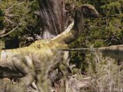 DryosaurusInfobox