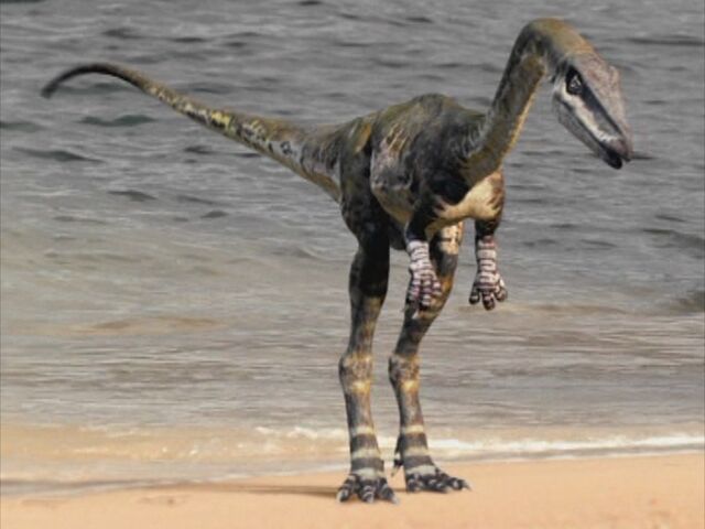 File:SM1x1 Coelophysis.jpg