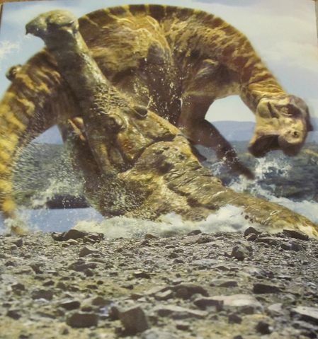 File:Wikia-Visualization-Main.png