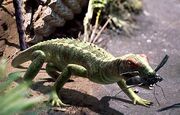 Petrolacosaurus