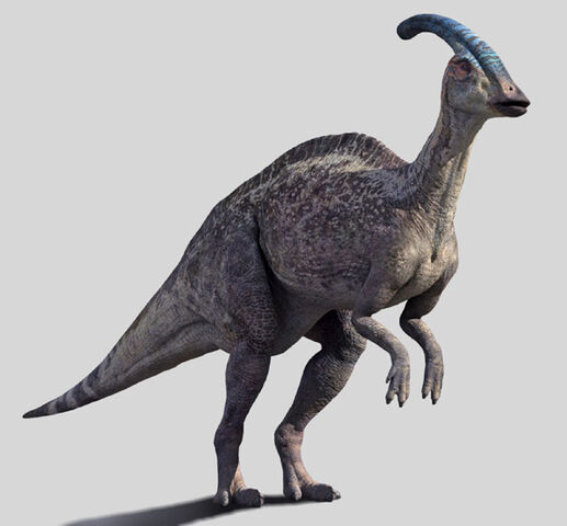 File:Parosurolophus.jpg