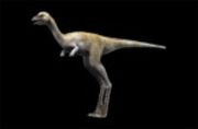 Mononykus